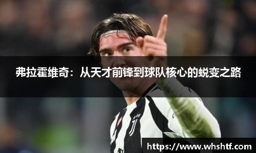 米兰体育官网