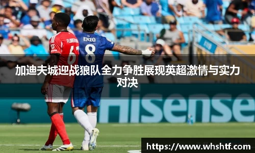 米兰体育官网